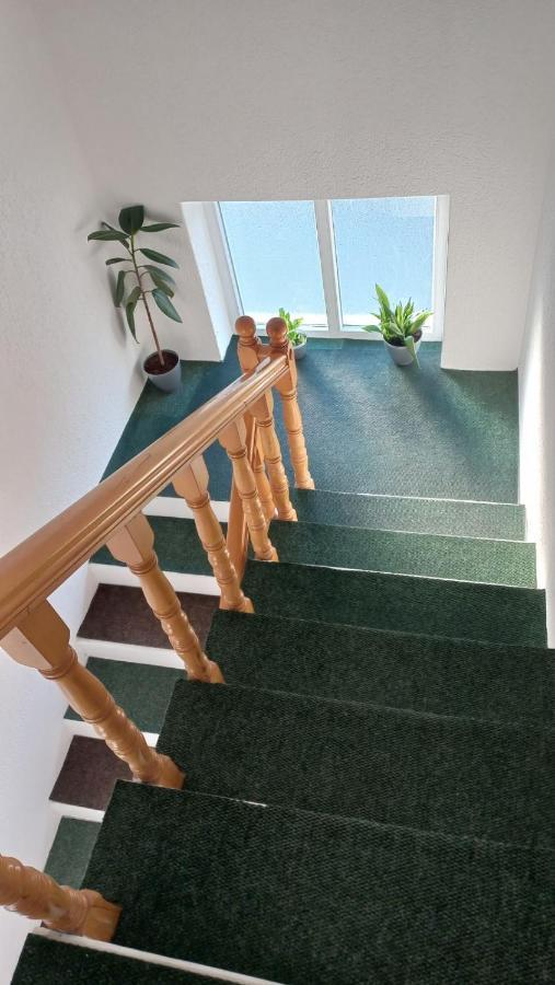 Apartman Sasa Vranje Eksteriør billede